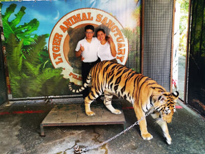 LYGER ANIMAL SANCTUARY (Tiger Holding Facility)